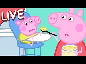 Peppa Pig 🍼 Baby Alexander FULL EPISODES 🌈 Kids Videos LIVE 🔴