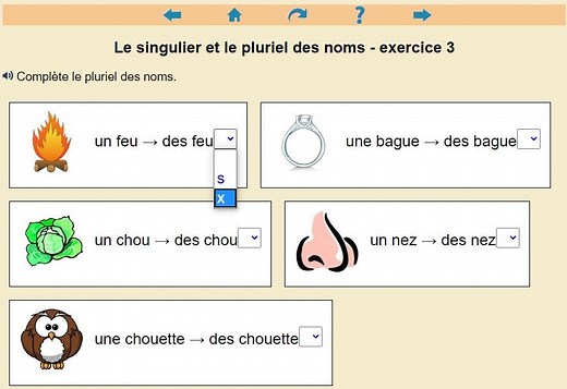 Le singulier et le pluriel du nom | Clic ! Ma Classe