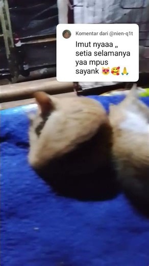 Terimakasih untuk supportnya #shorts