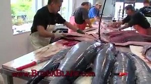 Super fast Tuna cutting Fishing, Hunting & The Outdoors - Like Us╰▶ Hunter & fishing | Hunter & fishing
