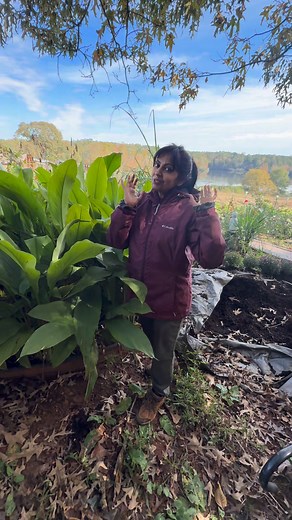 74K views · 1.5K reactions | It takes 2-3 years until you really start your garden settling. You will know what grows best and what problems you can have to manage. That is when u actually grow organically effortlessly Patience is the key!!! Happy Gardening 殺 #gardening #farming #womenfarmers #organic | Patilkulkarnifarms | Facebook