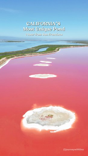 The way the pink shades keep changing every hour and by season 🥹 definitely the most beautiful pond! This salt pond is a hidden gem located in a small city, Alviso, near San Jose, about an hour from San Francisco. Throughout the year, this pond change color from blue green to deep magenta. The pink color you see in the video is caused by microorganisms that live on the pond. The best time to see this unique phenomenon is from summer to early fall. This pond is a home and resting area for many w