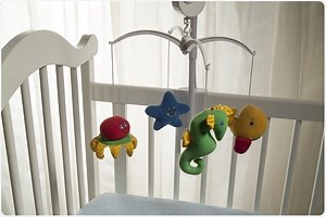 Lead Poisoning History