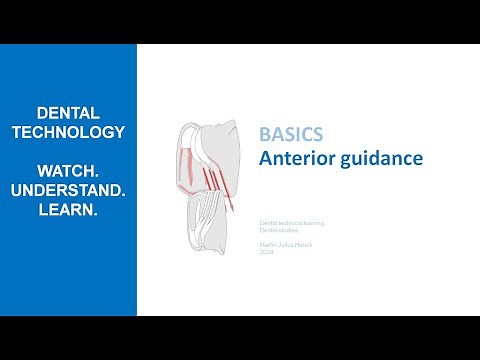 Anterior Guidance | How anteriors guide lower jaw movements
