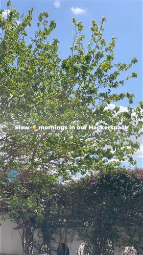 9.5K views · 32 reactions | Enjoying the sun rays in this quiet ☀️ morning! #GOMYCODE #Hackerspace #community #students #lac | gomycode | Facebook