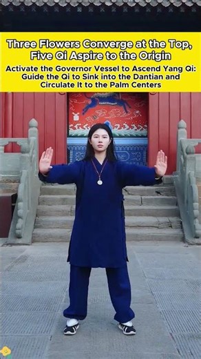 Taoist Secret Skill: Three Flowers Gather at the Top, Five Qi Return to the Origin #qigong #taichi