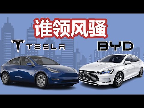 比亚迪vs特斯拉(BYD vs Tesla)，谁会成为电动车的领导者