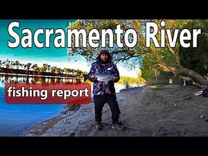 2026 Sacramento River Striper Fishing and Report