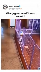 2.4K views · 10K reactions | The unknown facts about #BMW . Founding...