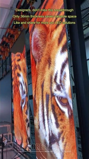 Lightweight display with multiple installation methods