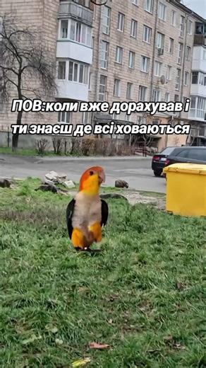 #Meme #MemeCut #CapCut #реки