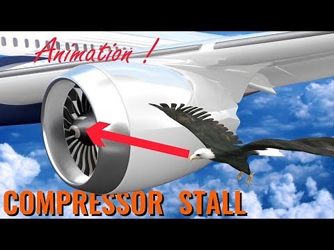 What makes BIRD STRIKES so dangerous?