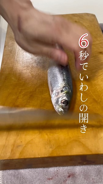 早すぎるイワシの開き #魚 #捌いてみた #cooking #いわし #高速 #shorts