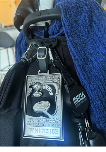 Resultados en el hoyo 17 del Players Championship