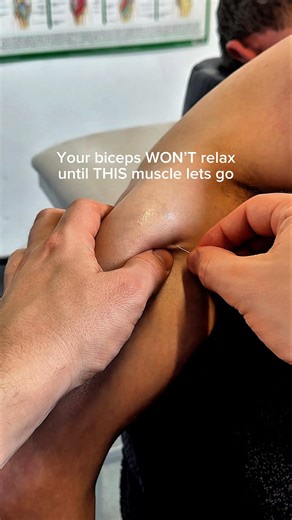 Crazy muscle twitches!