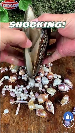 RARE Footage! Unveiling the Secret Life Inside a Clam - Is There a Pearl? #shorts