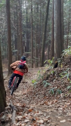 初めてのCAB TRAIL‼️初心者から上級者まで楽しめてめちゃ気持ち良いフロートレイル！Blue.GReenコース編