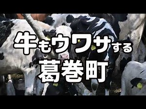 『牛もウワサする葛巻町』第23回IATふるさとCM大賞「金賞（岩手県知事賞）」受賞作品