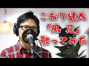 風花／こおり健太 cover by Shin