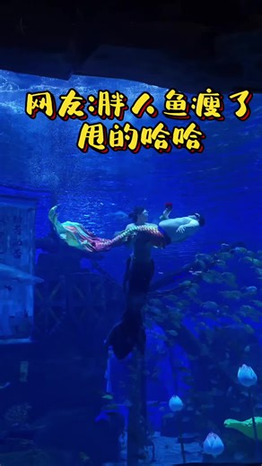 It’s like a love story between mermen #handsome #😍😍😍 #cute #muscle #mermaid#merman