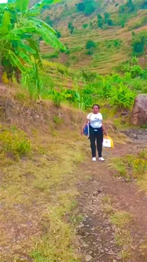 Nige@Nige (@nigenige267)’s videos with original sound - Nige@Nige