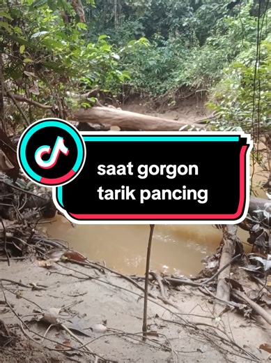 Pancing Gorgon: Tips for Successful Fishing Techniques