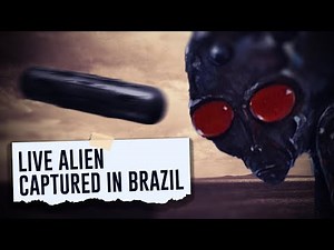 Live Alien Captured in Brazil: The Varginha Incident