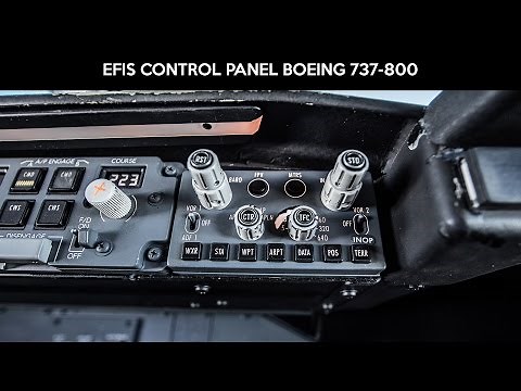 Electronic Flight Instrument System EFIS Boeing 737-800