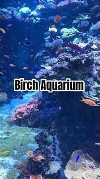 Birch Aquarium