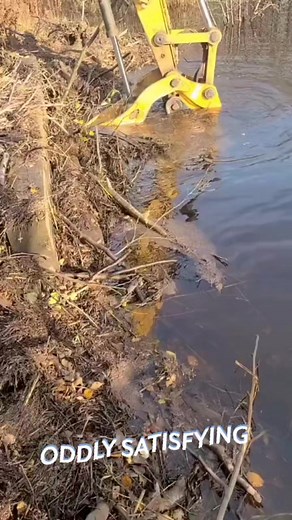 6.5M views · 10K reactions | Satisfaction#motivational #inspirationalquotes #wisewords #wiseman #liveinthemoment #relateablecontent #FacebookReelsContest #foryoupage #truth #quotes #inspiration #honor #facts #life #whatmattersmost #strength #God #lifeslessons | DL Stein | Facebook