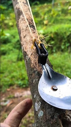 survival slingshots made from old wooden - simple mechanism