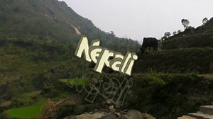 Nepali