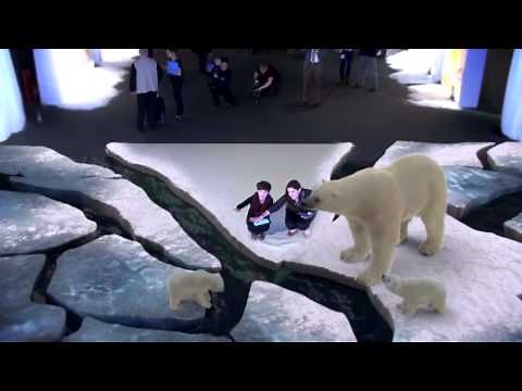 WWF - Coca-Cola Arctic Home Campaign - Augmented Reality | WWF