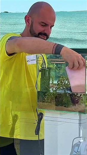 🐟 Betta Fish Care Guide: Everything You Need to Know🌿🍂🐟🐠