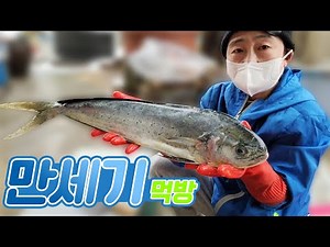 작약꽃 (요약이)세기가 놀란맛 만세기 요리 (eng)