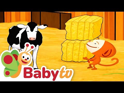 Join Oliver on the Farm! 🚜🐄 | Meet All the Animals & Learn Farm Life | BabyTV