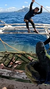 3.1M views · 37K reactions | Kapag Ganitong Isda Pumasok Sa Trap Jackpot #official:AmazingSeaVlog#LegitPage | Official:Amazing Sea Vlog | Facebook