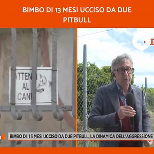 In diretta a #Mattino4 la ricostruzione della tragedia | Rete4