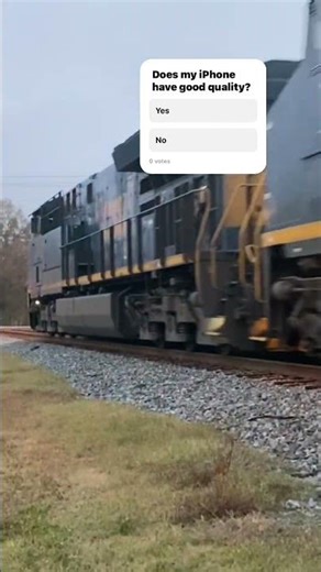 Camera testing my iPhone 11