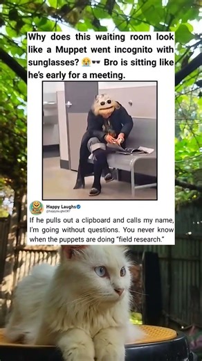 A Funny Puppet Lookalike Moment in the Waiting Room