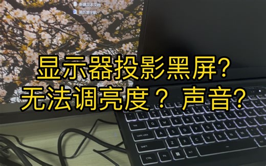全网最强外接显示器攻略/解决99%显示器难题/黑屏/无法调亮度/无法调音量
