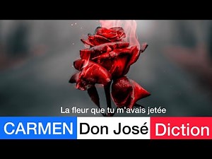 Don José "La fleur que tu m'avais jetée" - CARMEN, french diction, translation + score animation