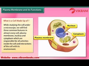 CELL-Structure and Functions :Grade 8 Science(BIOLOGY) #cellstructure #cellfunctions #cellbiology