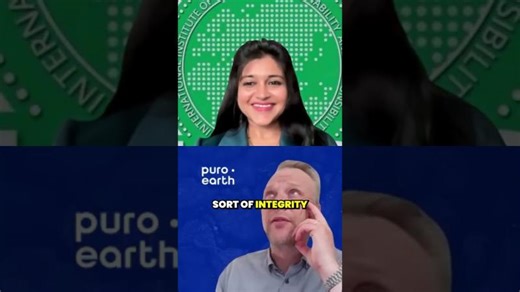 The role of carbon removal technologies in achieving net zero emissions | International Institute of Corporate Sustainability and Responsibility