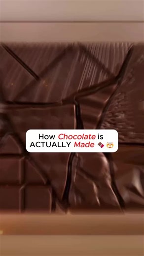 The Surprising Origin of Chocolate: Nature's Dino Egg
