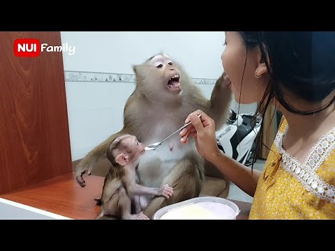 Nui and daughter Poni eat 3 color ice cream for the first time | Nui Family