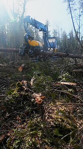 43K views · 674 reactions | Logging Lifestyle  #LOGGERMACK #forestry #sustainable | Logger Mack | Facebook