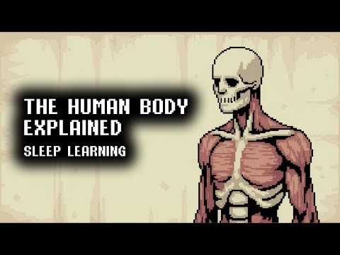 The Building Blocks of the Human Body | 3 Hour Anatomy Lecture