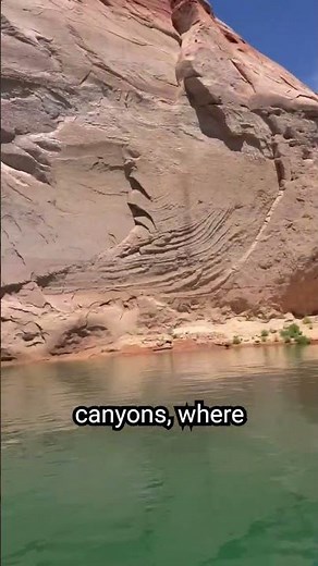 Lake Powell | A Stunning Oasis of Red Rocks & Blue Waters | Ultimate Travel Guide