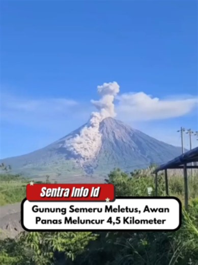 Gunung Semeru meletus pada Jumat (19/6/2026) pukul 07.21 WIB. Erupsi tersebut menghasilkan kolom abu setinggi sekitar 1.000 meter dari puncak gunung. Selain itu, awan panas guguran (APG) dilaporkan meluncur hingga sejauh 4,5 kilometer ke arah Besuk Kobokan. Aktivitas vulkanik ini terekam dan menjadi perhatian warga di sekitar kawasan gunung. Masyarakat yang berada di sekitar lereng Gunung Semeru diimbau untuk meningkatkan kewaspadaan serta terus memantau informasi resmi dari pihak berwenang terk